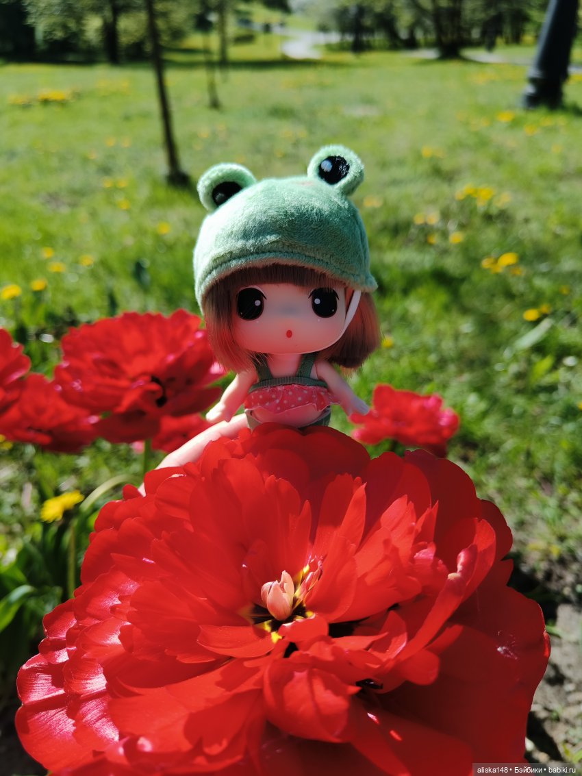 Жабка в Лошицком парке | Бэйбики Жабка в Лошицком парке — Куклы Ddung (Дданг): Корейские пупсы (фото 4)