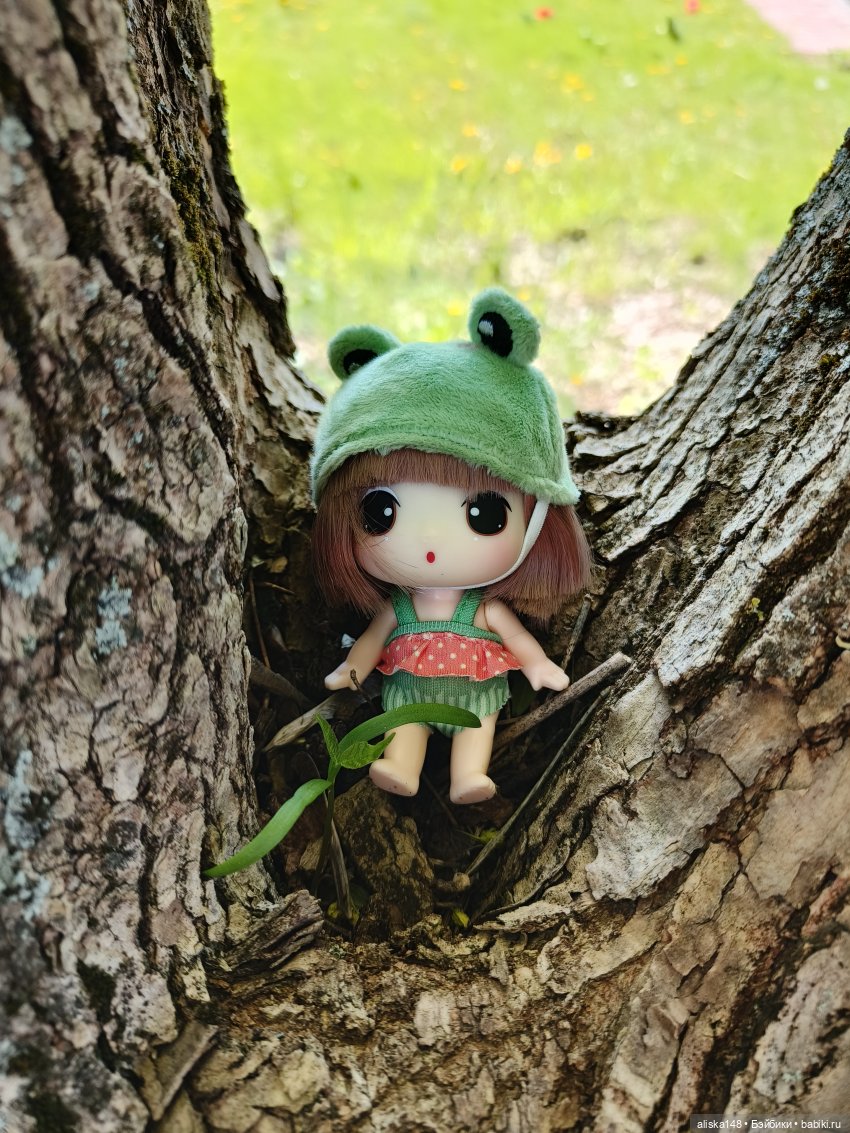 Жабка в Лошицком парке | Бэйбики Жабка в Лошицком парке — Куклы Ddung (Дданг): Корейские пупсы (фото 6)