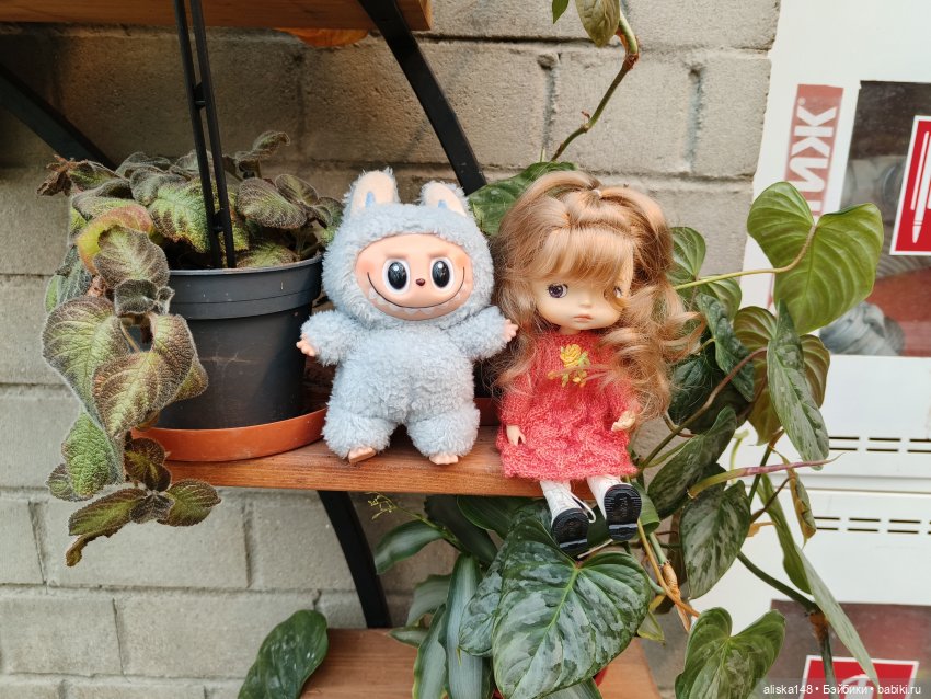 Прогулки по тропикам — Куклы Xiaomi Monst (Сяоми) и Pipitom: шарнирные (фото 2)