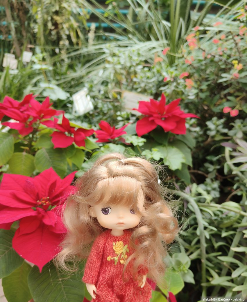 Прогулки по тропикам — Куклы Xiaomi Monst (Сяоми) и Pipitom: шарнирные