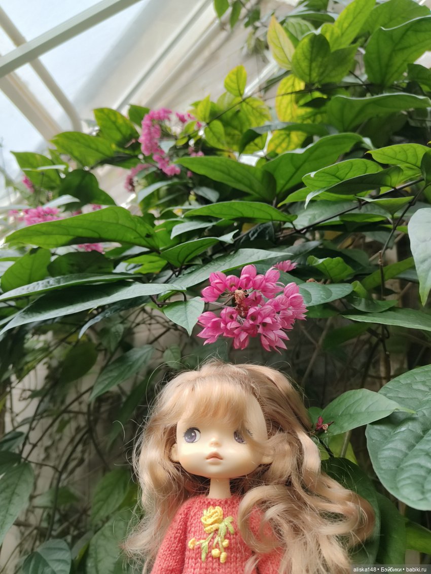 Прогулки по тропикам — Куклы Xiaomi Monst (Сяоми) и Pipitom: шарнирные (фото 5)