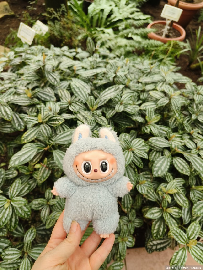 Прогулки по тропикам — Куклы Xiaomi Monst (Сяоми) и Pipitom: шарнирные (фото 8)