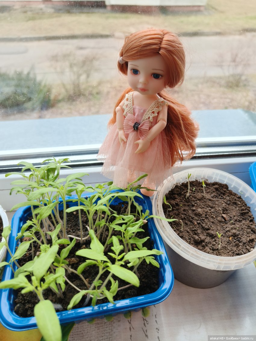 Женька — Куклы Baboliy (Баболи (фото 4)