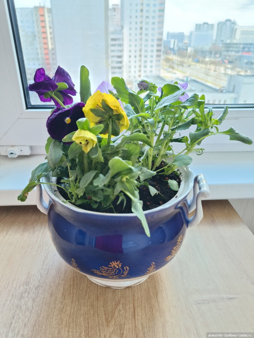 И снова Женя гуляет по Минску