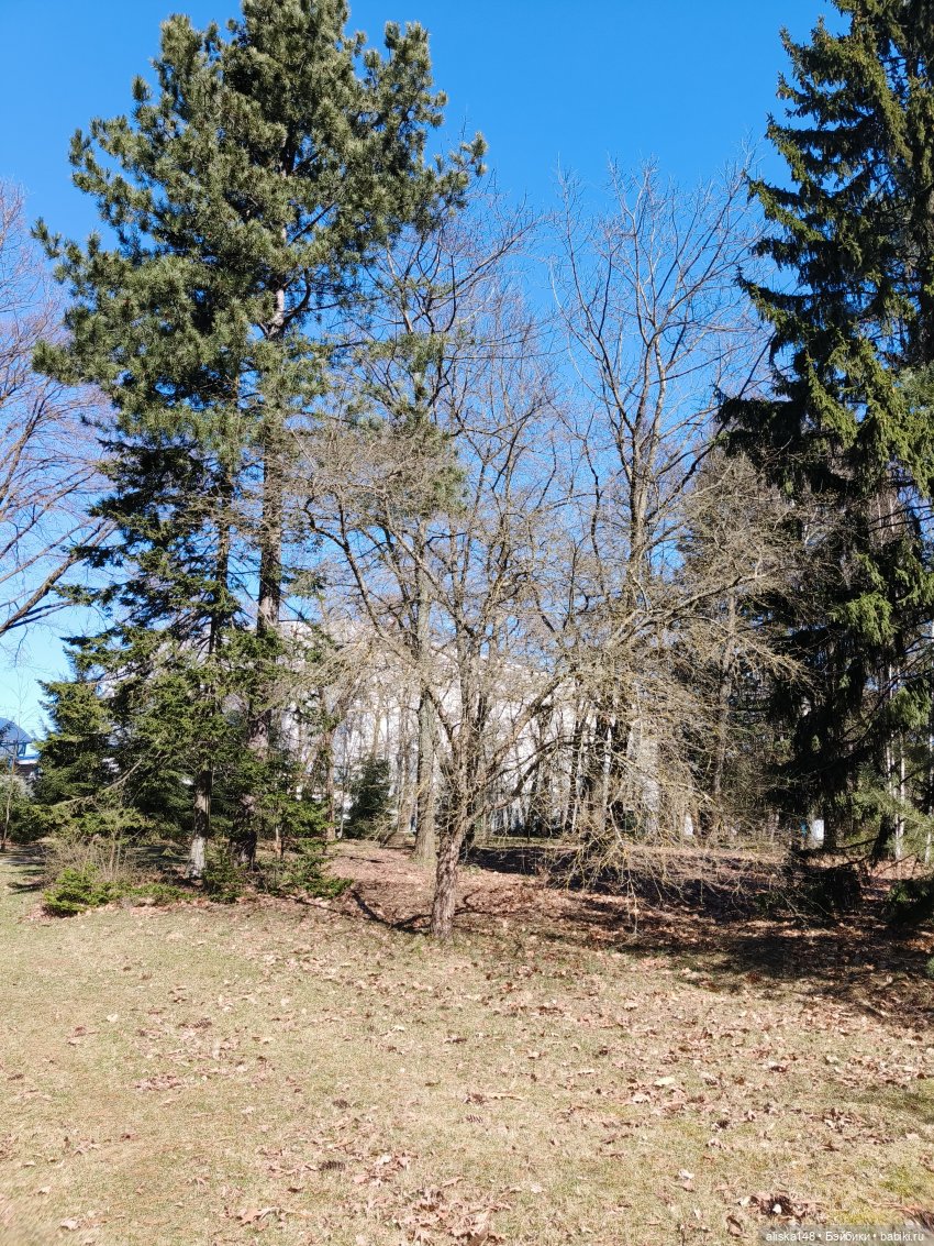 Американская девочка в Минском ботаническом саду (фото 8)