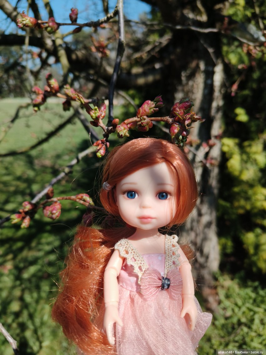 Женька и Магнолии — Куклы Baboliy (Баболи