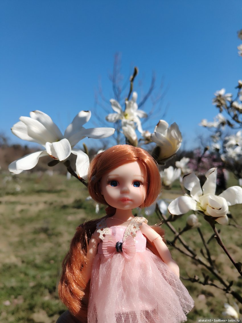 Женька и Магнолии — Куклы Baboliy (Баболи