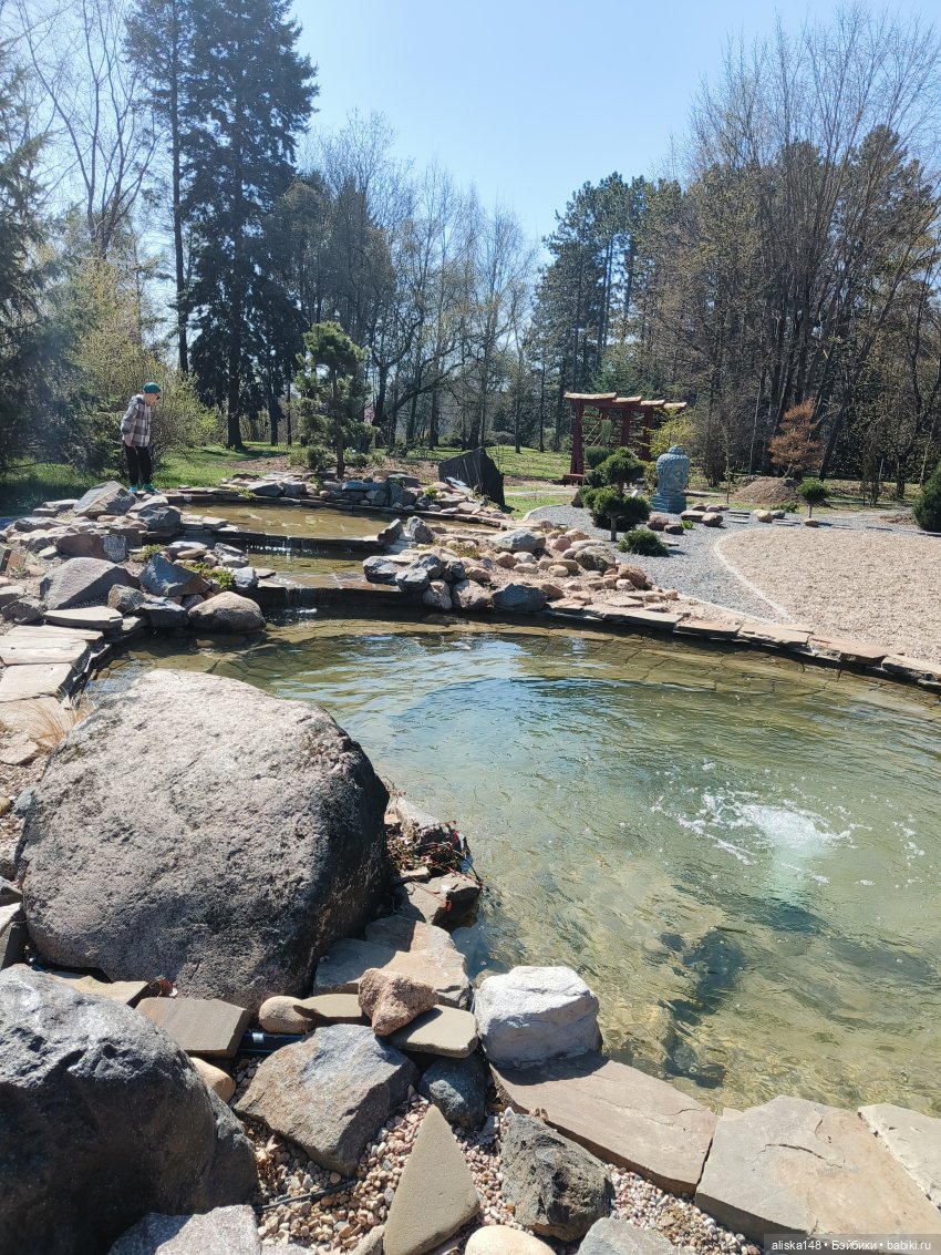 Женька и Магнолии — Куклы Baboliy (Баболи