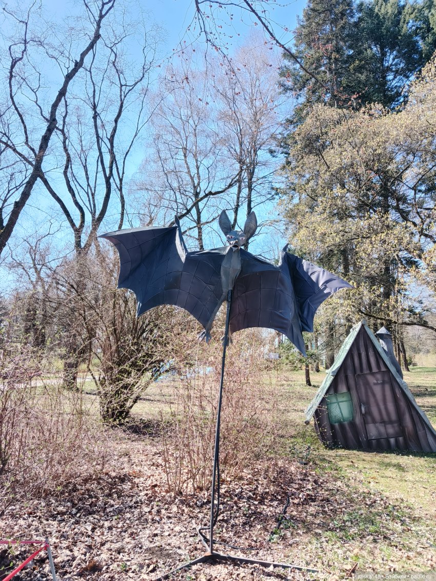 Женька и Магнолии — Куклы Baboliy (Баболи (фото 10)