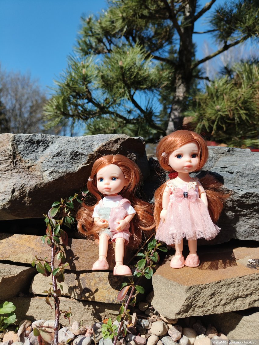 Женька и Магнолии — Куклы Baboliy (Баболи