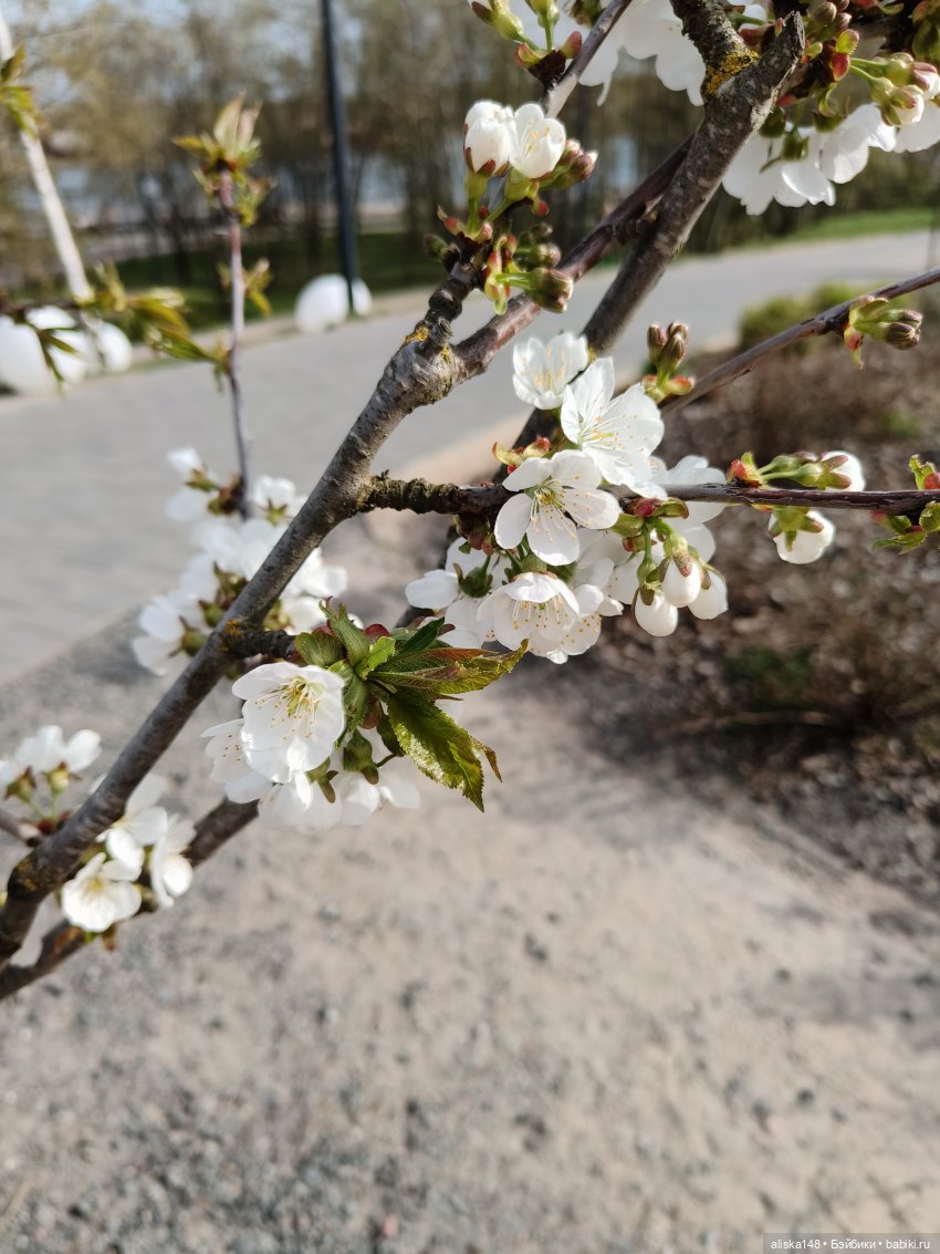 Солнечный день — Куклы Baboliy (Баболи (фото 3)