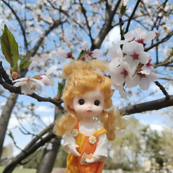 Солнечный день