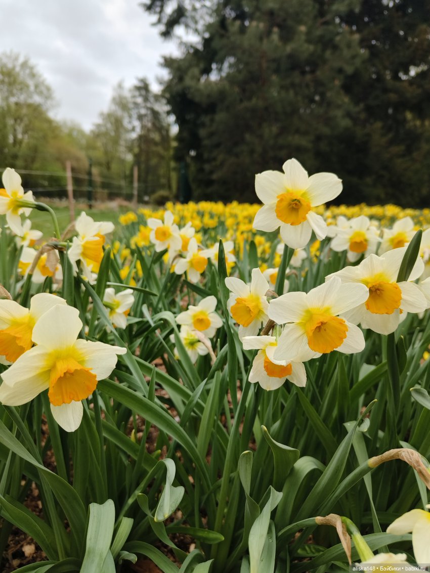 Никогда такого не было и вот опять)))