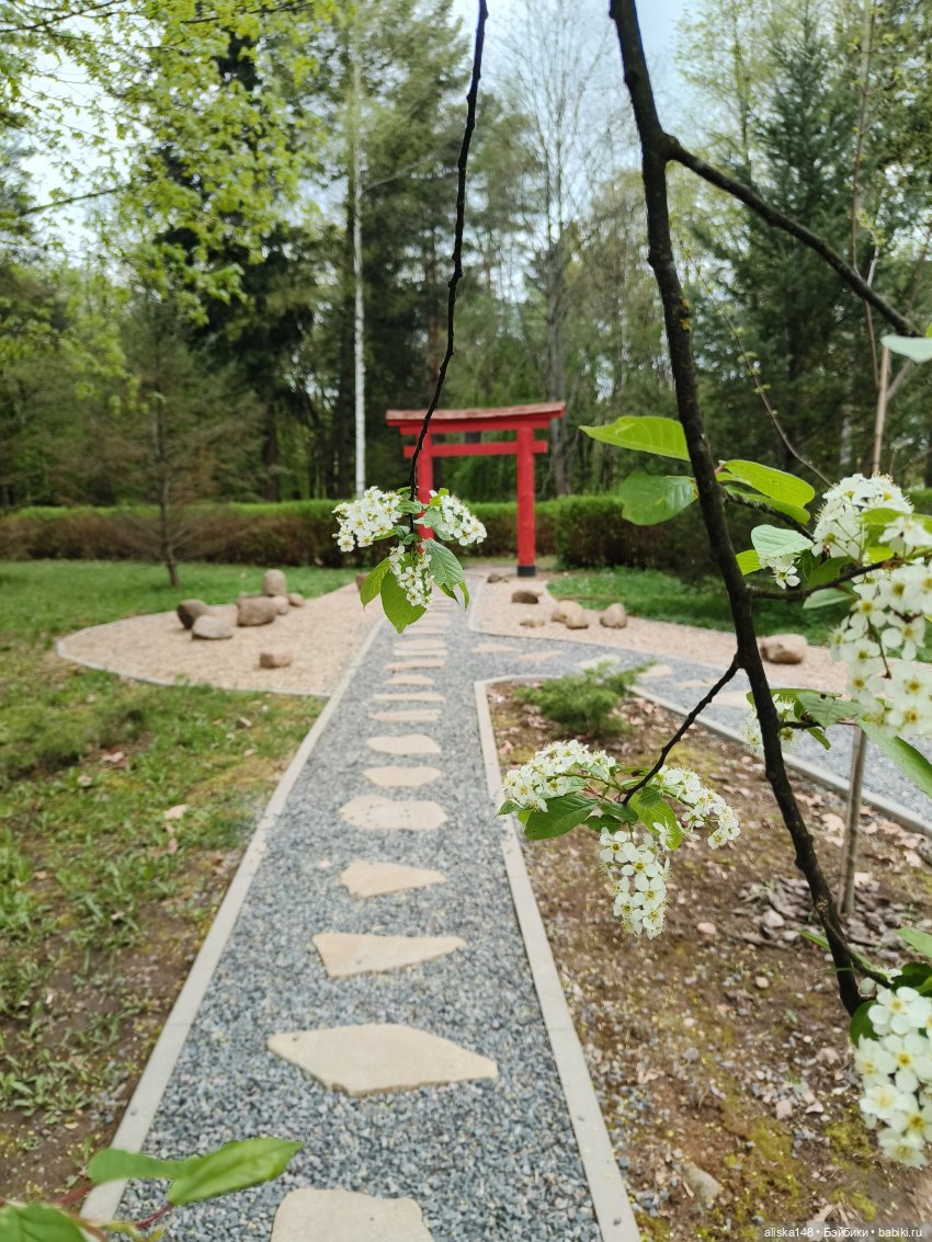 Никогда такого не было и вот опять)))