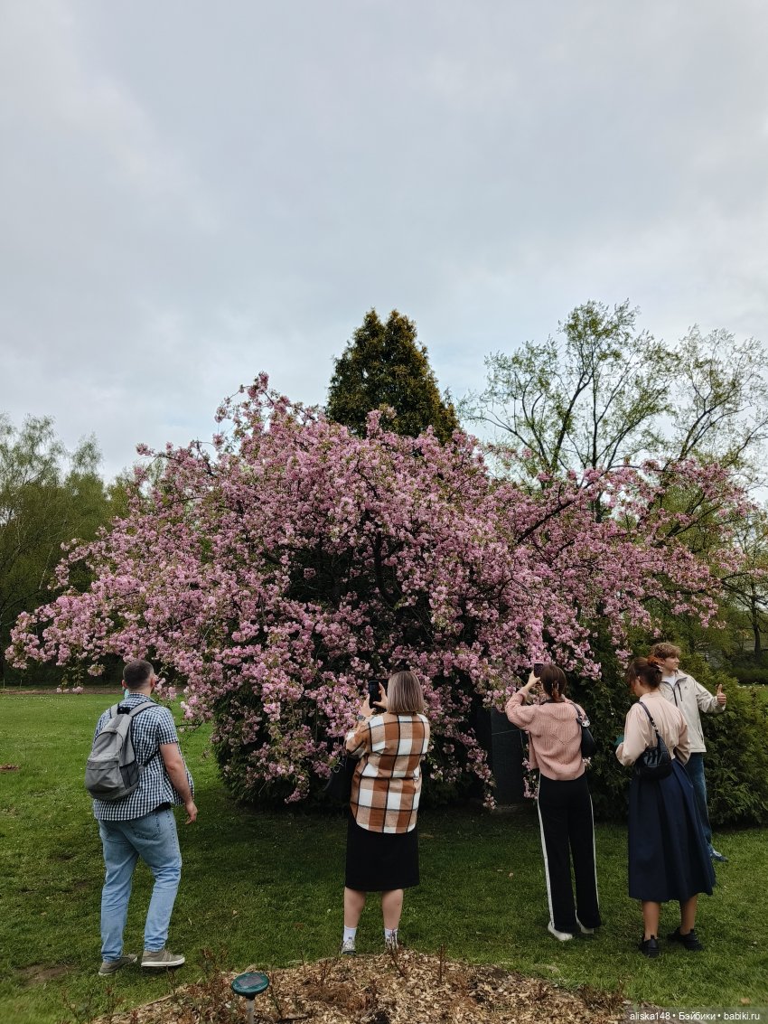 Никогда такого не было и вот опять))) (фото 8)