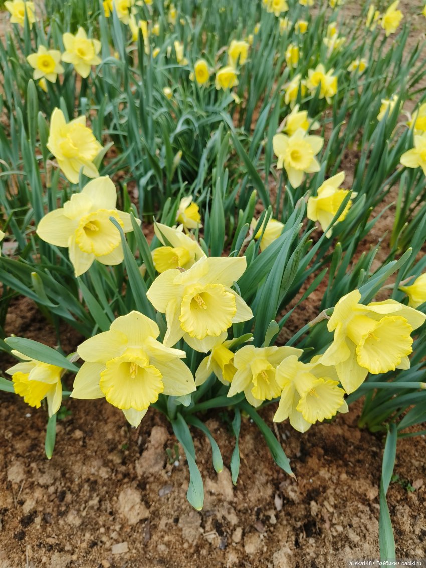 Никогда такого не было и вот опять))) (фото 10)