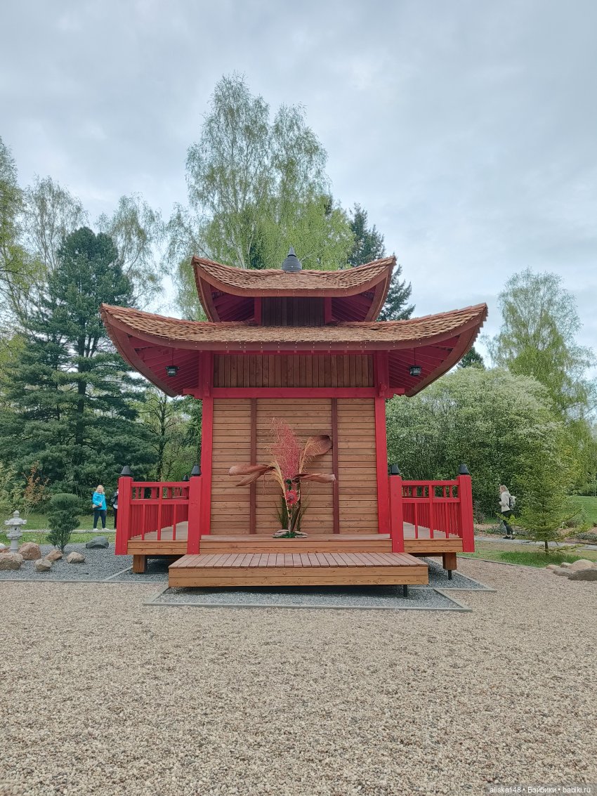 Никогда такого не было и вот опять)))