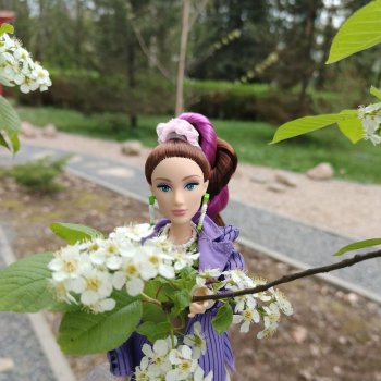 Никогда такого не было и вот опять)))