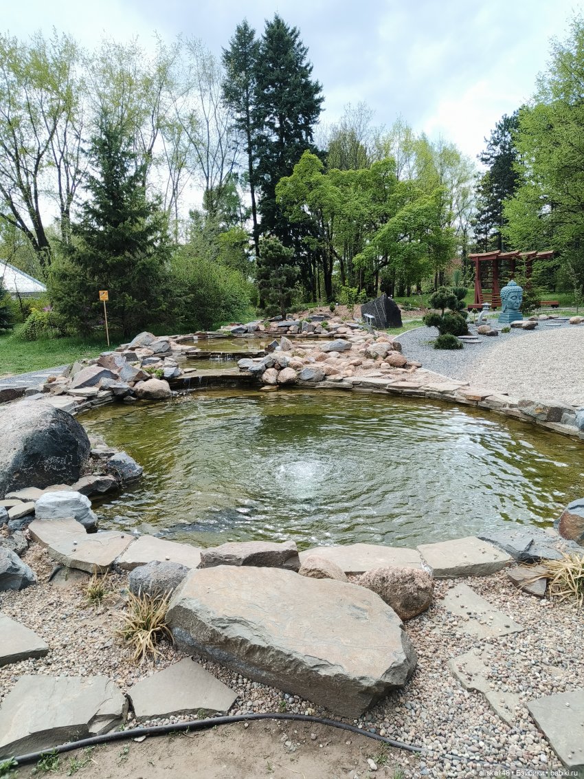 И снова гуляем с Деффочками по ботаническому саду | Бэйбики И снова гуляем с Деффочками по ботаническому саду