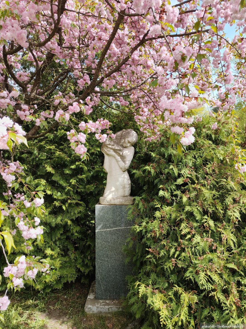 И снова гуляем с Деффочками по ботаническому саду | Бэйбики И снова гуляем с Деффочками по ботаническому саду (фото 3)