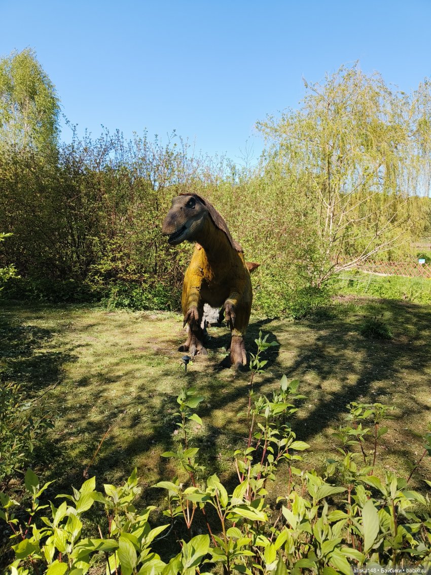 Тотошка в зоопарке — Игровые куклы разных производителей (Разное): редкие бренды (фото 9)