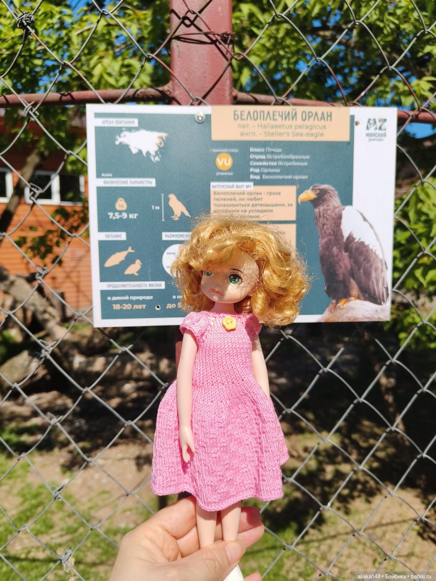 Тотошка в зоопарке — Игровые куклы разных производителей (Разное): редкие бренды (фото 3)