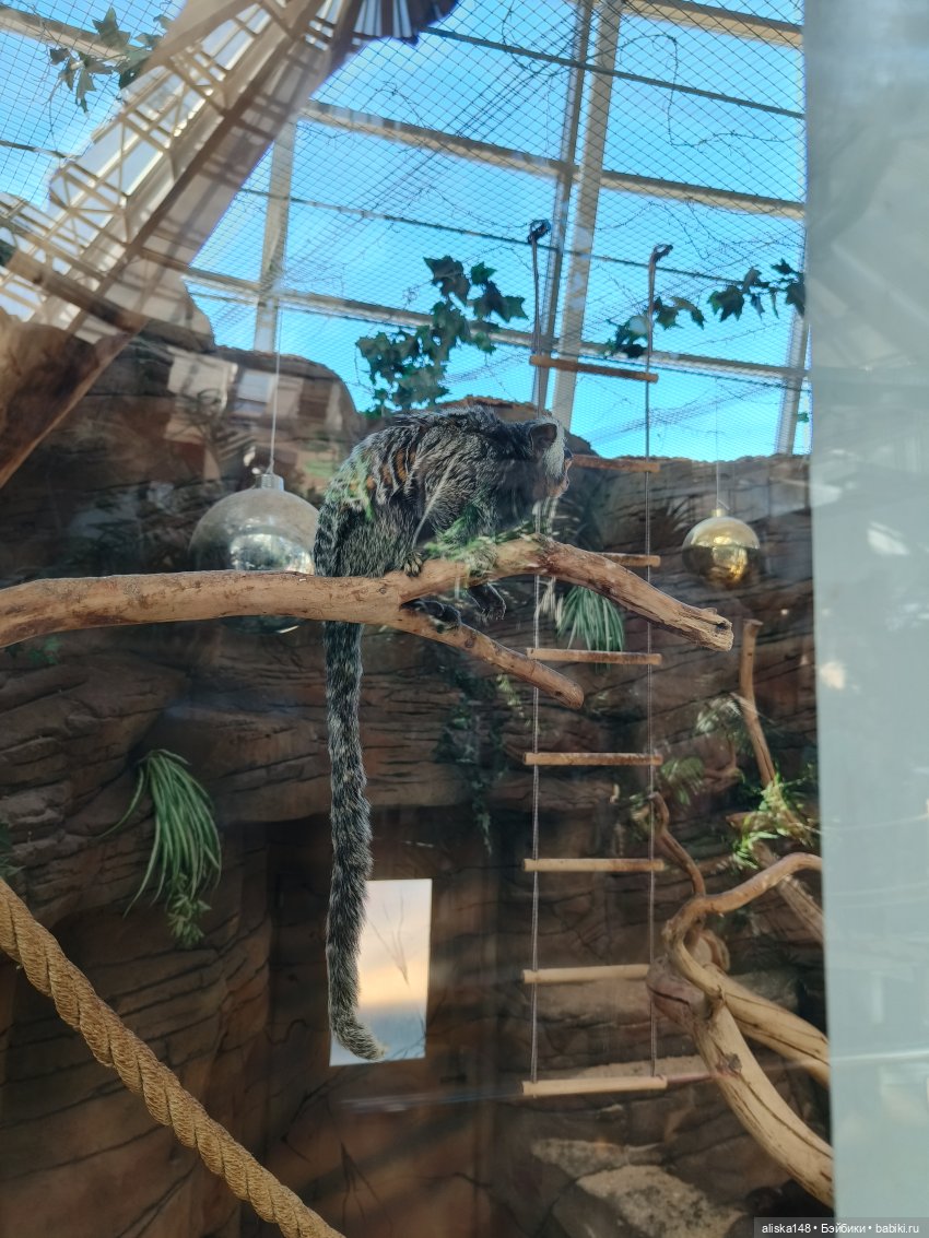 Тотошка в зоопарке — Игровые куклы разных производителей (Разное): редкие бренды