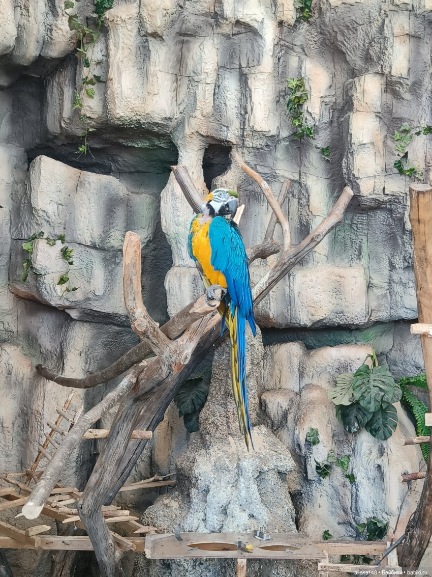 Тотошка в зоопарке — Игровые куклы разных производителей (Разное): редкие бренды