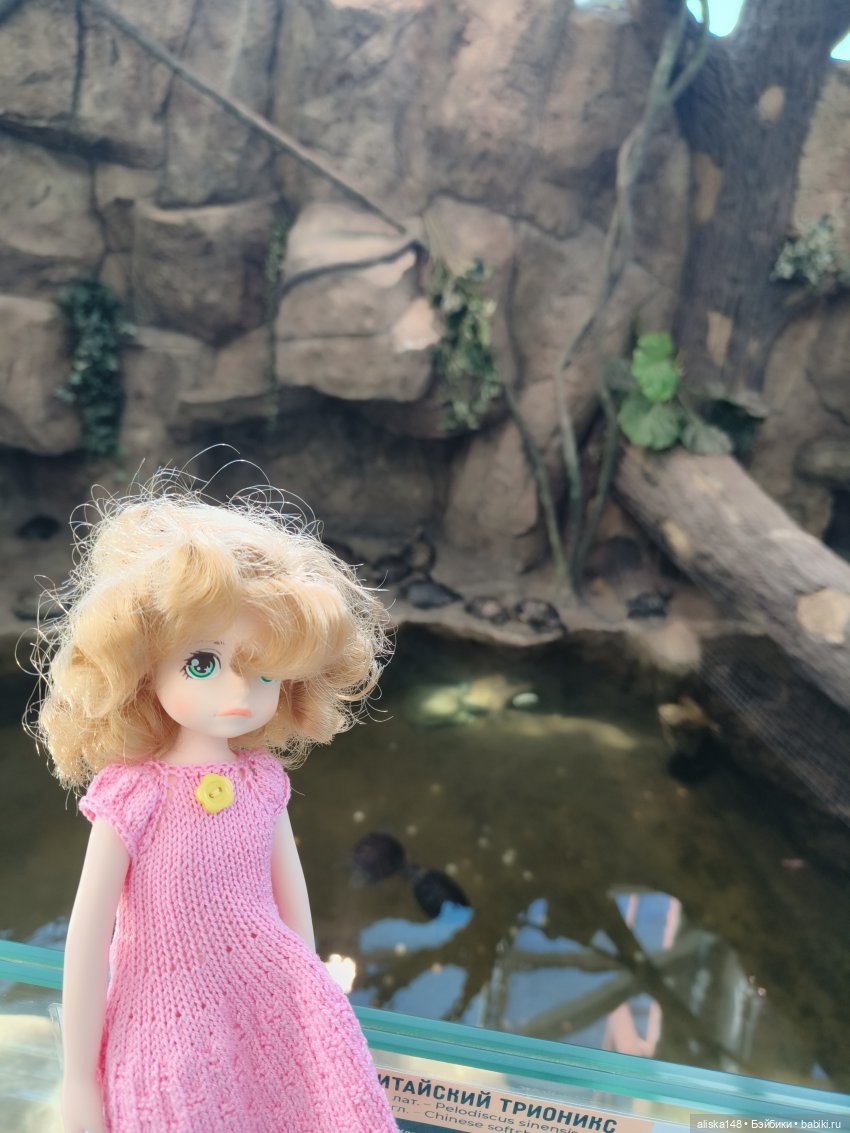 Тотошка в зоопарке — Игровые куклы разных производителей (Разное): редкие бренды