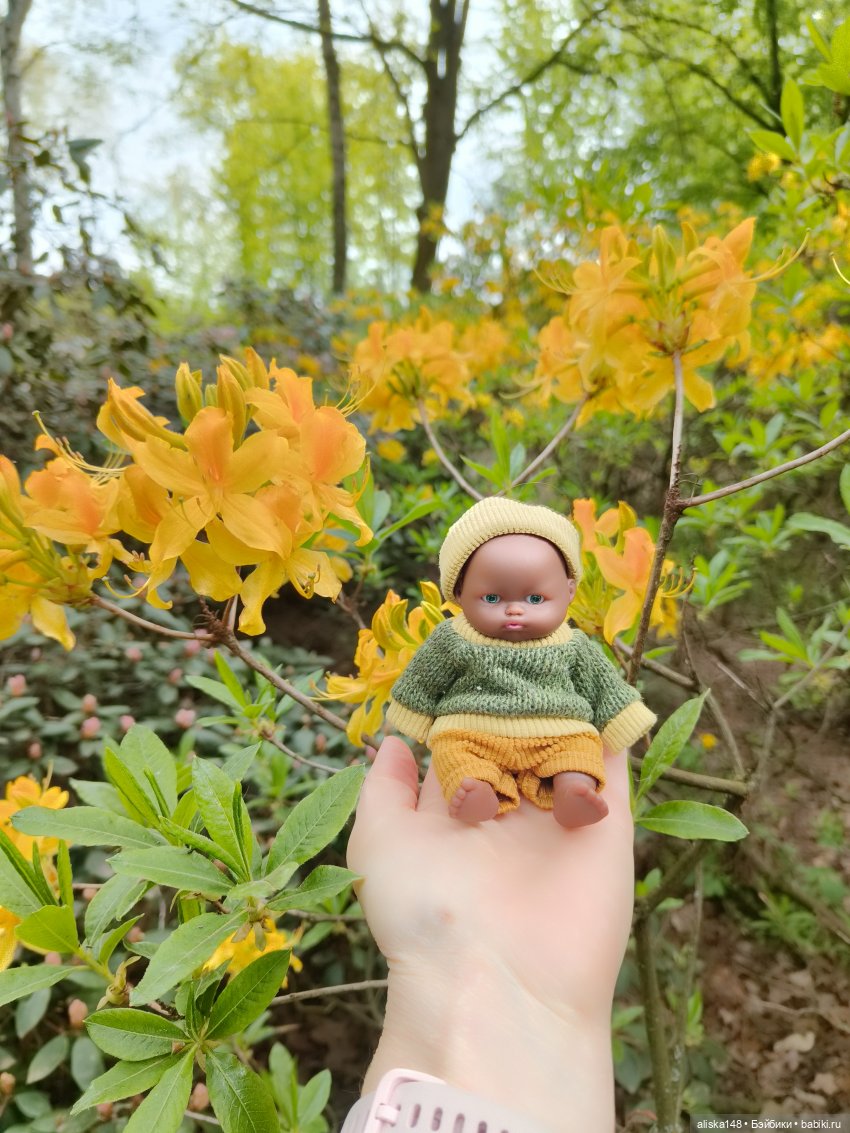 Филипок | Бэйбики Филипок — Куклы с Алиэкспресс (Aliexpress): Китайские шарнирные (фото 4)