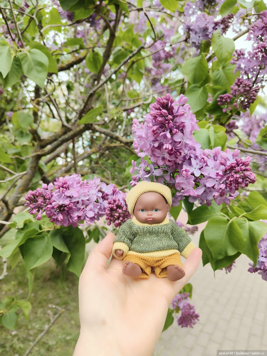 Филипок | Бэйбики Филипок — Куклы с Алиэкспресс (Aliexpress): Китайские шарнирные