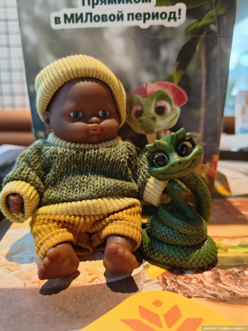 Филипок | Бэйбики Филипок — Куклы с Алиэкспресс (Aliexpress): Китайские шарнирные (фото 2)