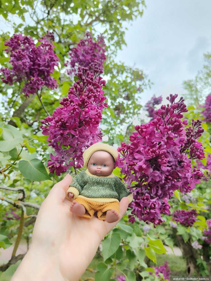 Филипок | Бэйбики Филипок — Куклы с Алиэкспресс (Aliexpress): Китайские шарнирные
