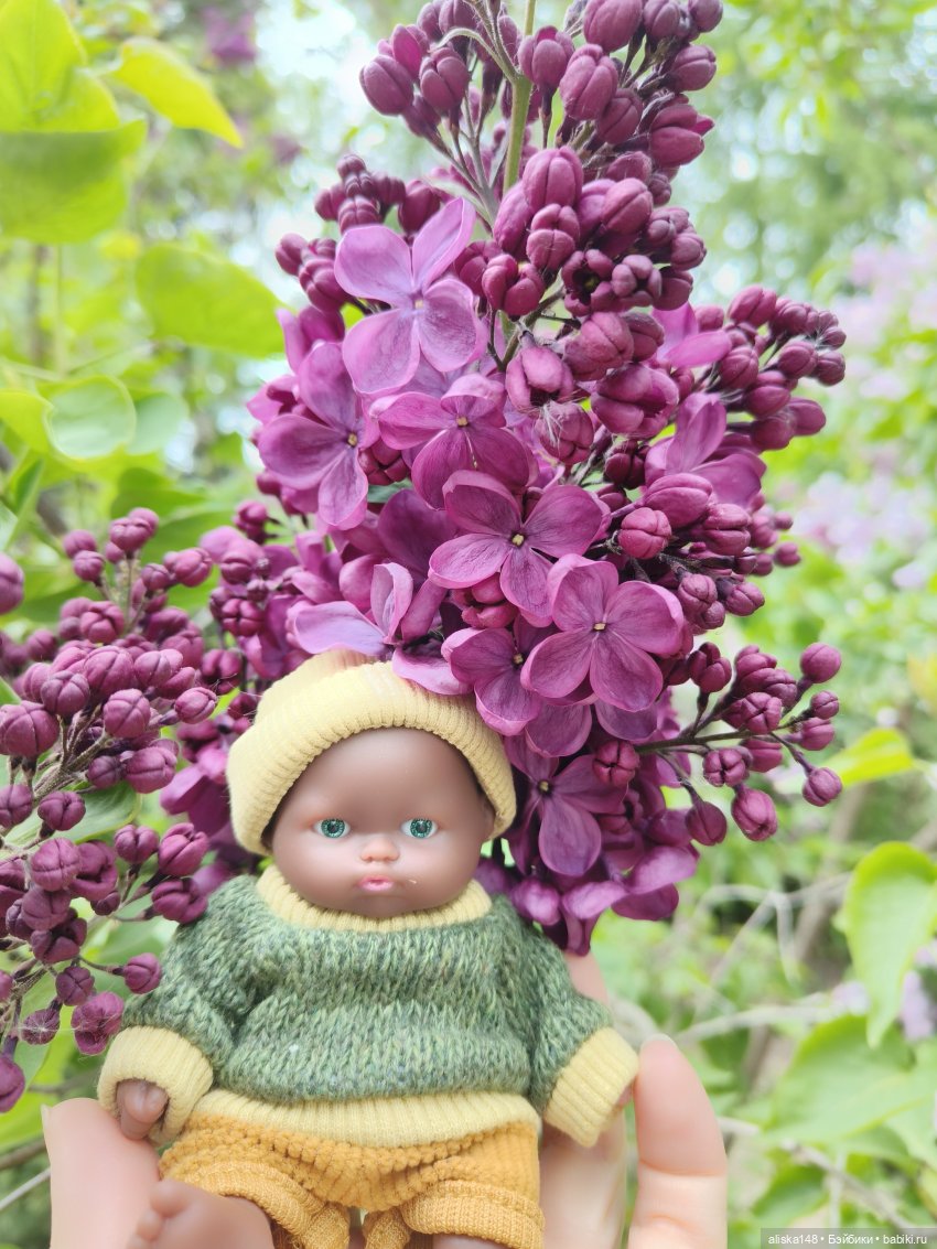 Филипок | Бэйбики Филипок — Куклы с Алиэкспресс (Aliexpress): Китайские шарнирные