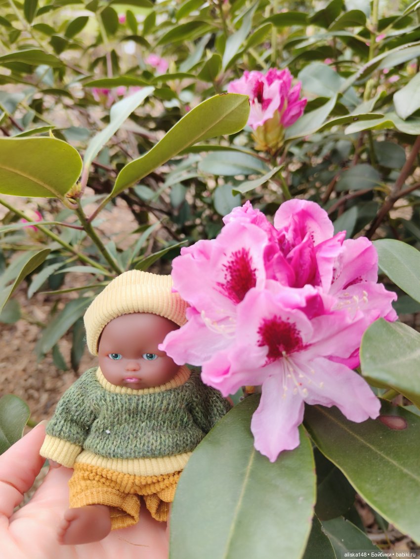 Филипок | Бэйбики Филипок — Куклы с Алиэкспресс (Aliexpress): Китайские шарнирные