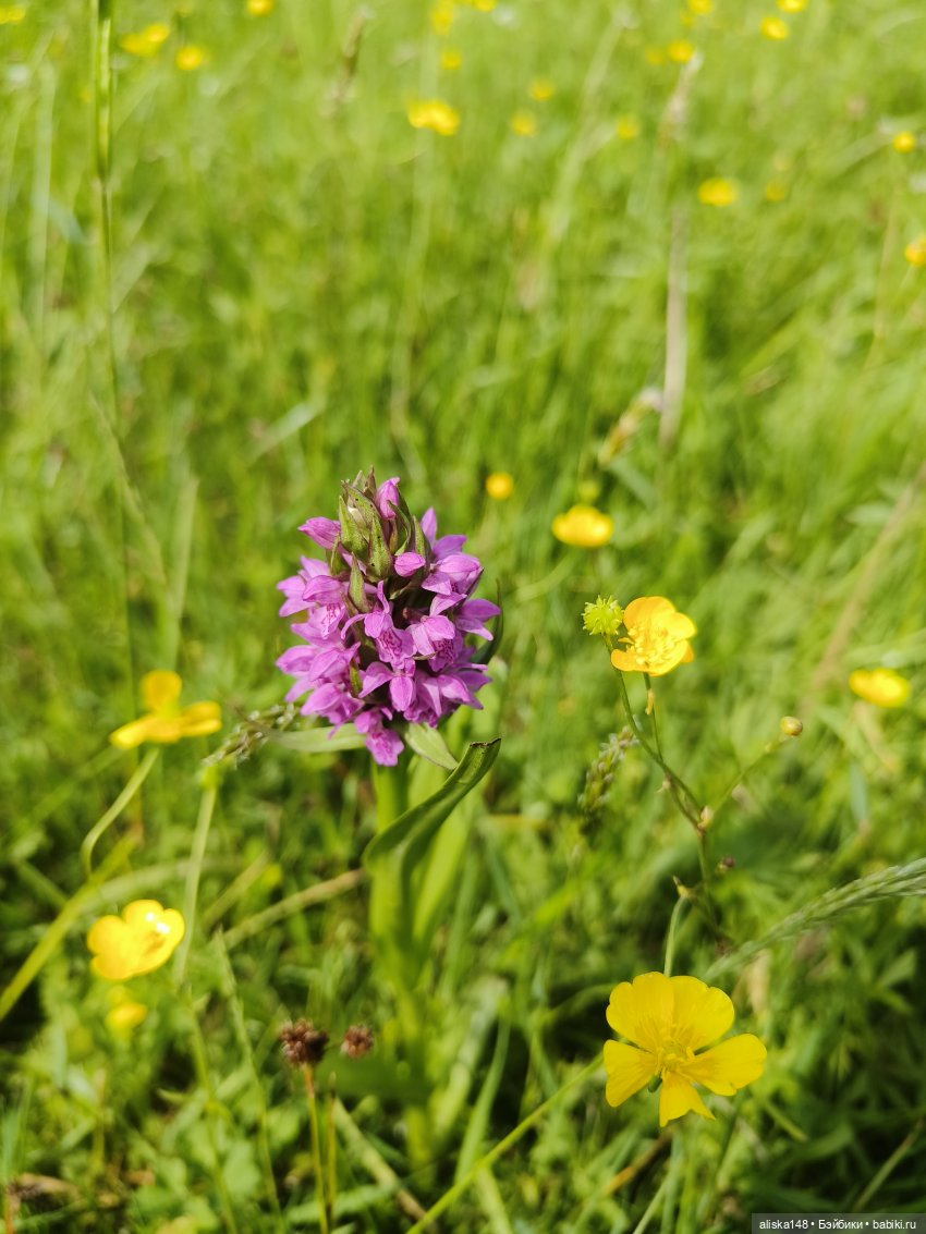 Крузики на прогулке — Игровые куклы разных производителей (Разное): редкие бренды