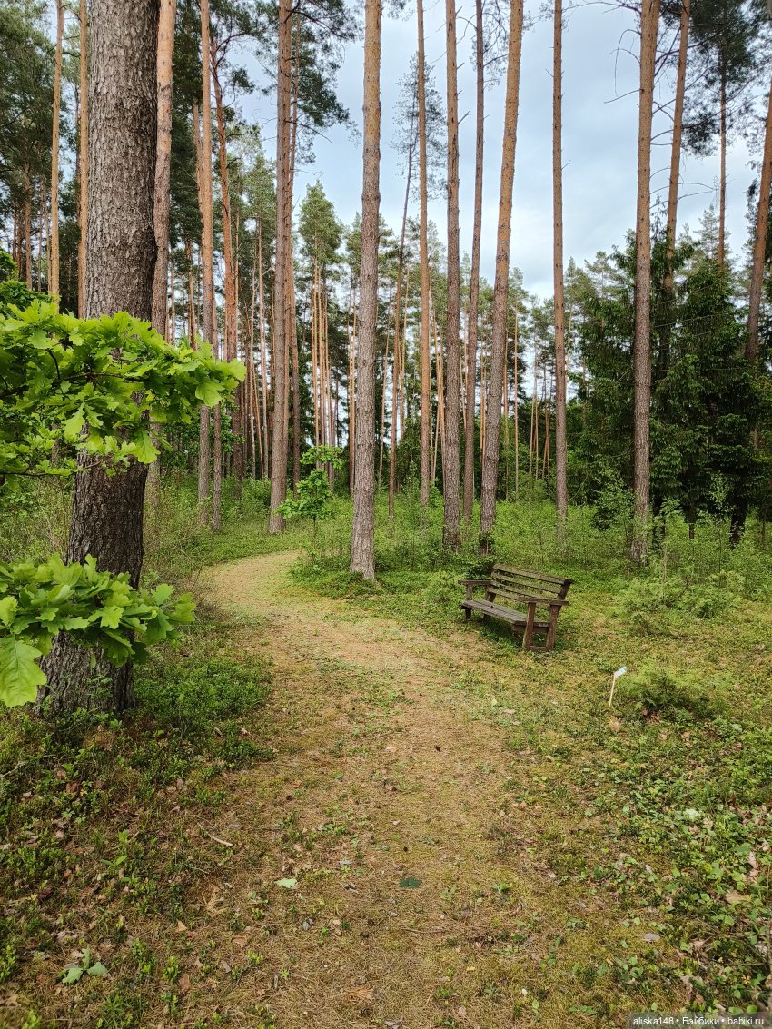 Петра и Карина путешествуют