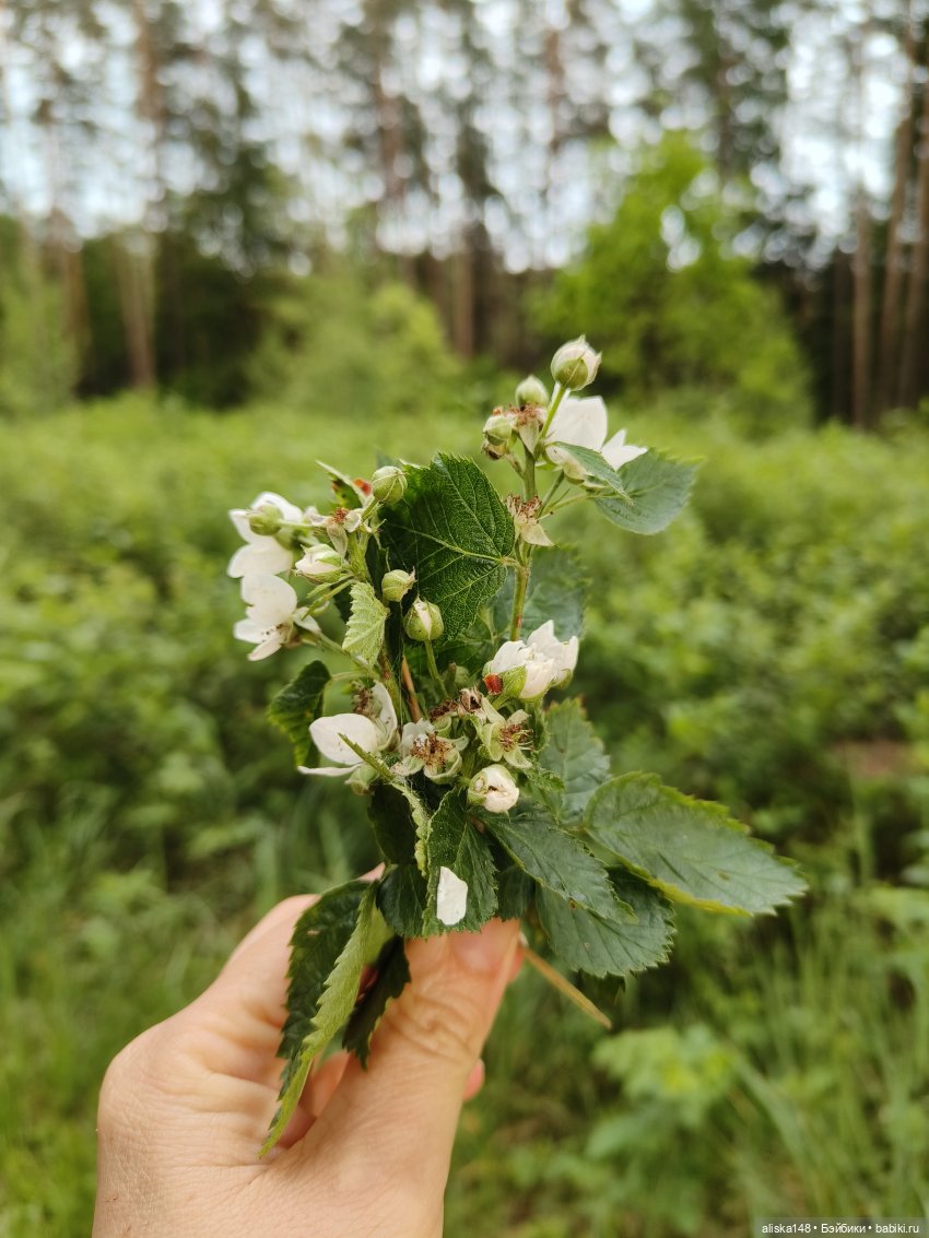 Петра и Карина путешествуют