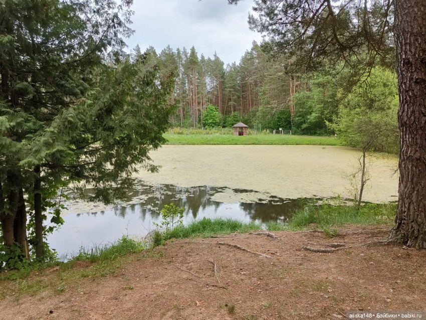 Петра и Карина путешествуют