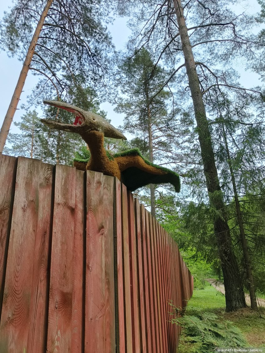 Петра и Карина путешествуют (фото 10)