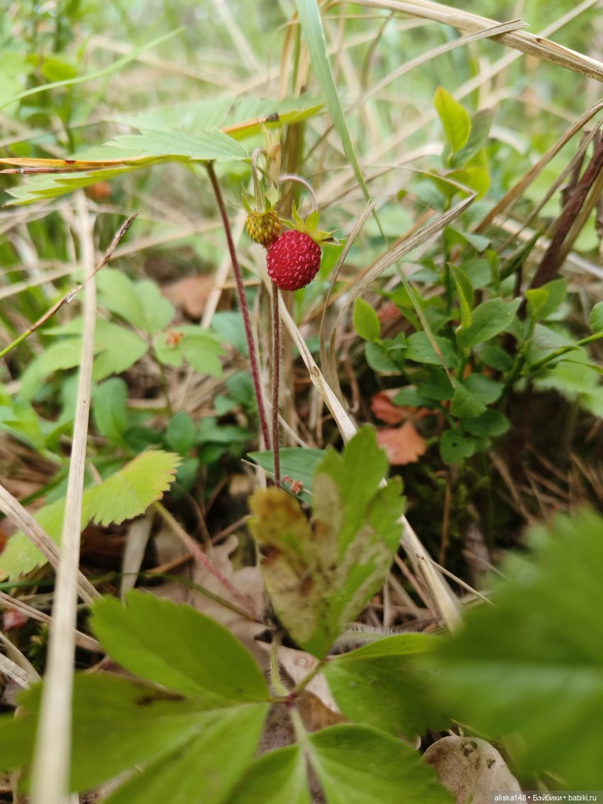 Петра и Карина путешествуют