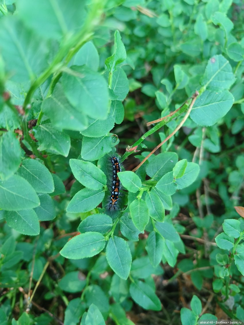 Петра и Карина путешествуют