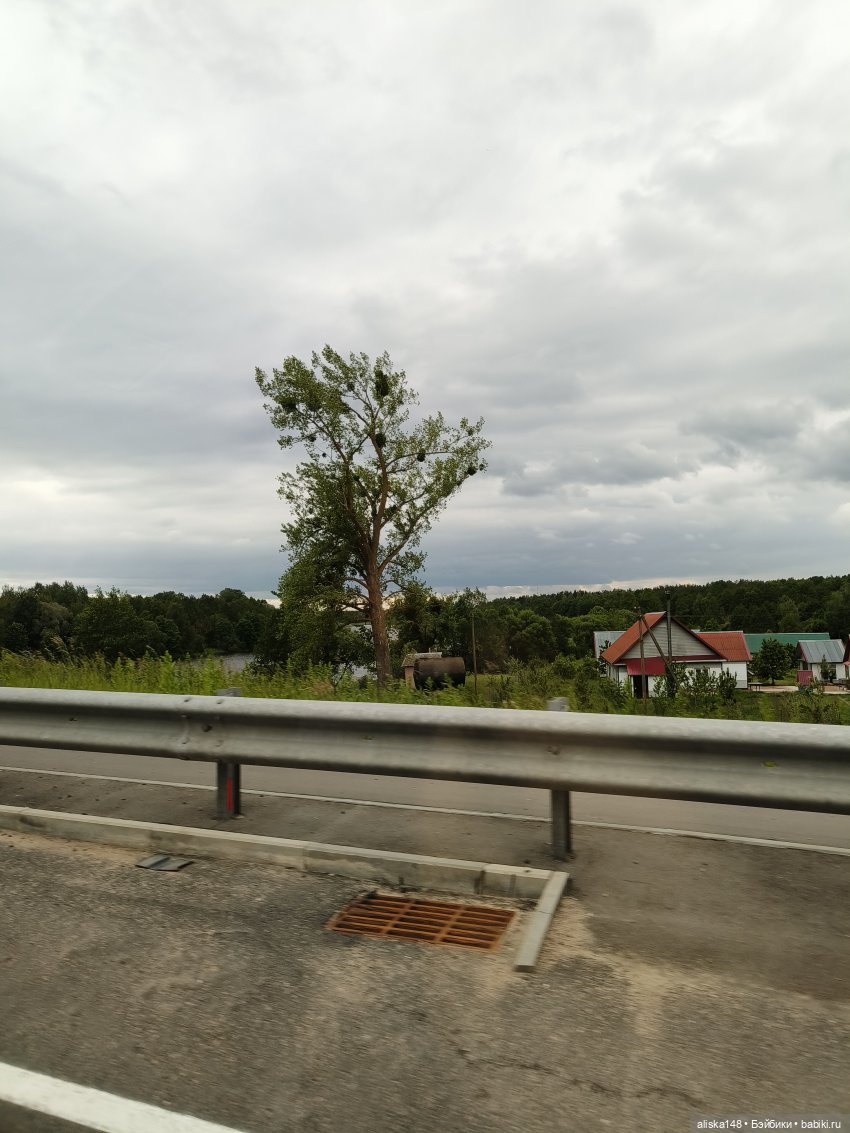 Петра и Карина путешествуют (фото 8)