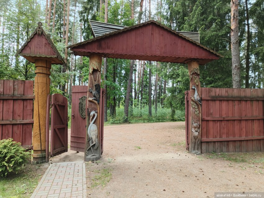 Петра и Карина путешествуют (фото 9)