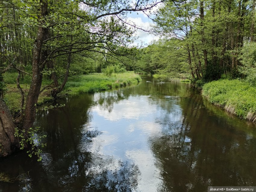 Путешествие продолжается — Куклы Baboliy (Баболи (фото 2)