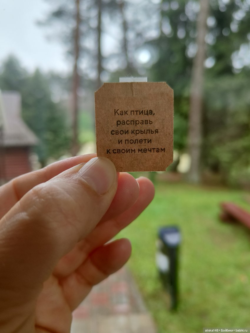 Путешествие продолжается — Куклы Baboliy (Баболи