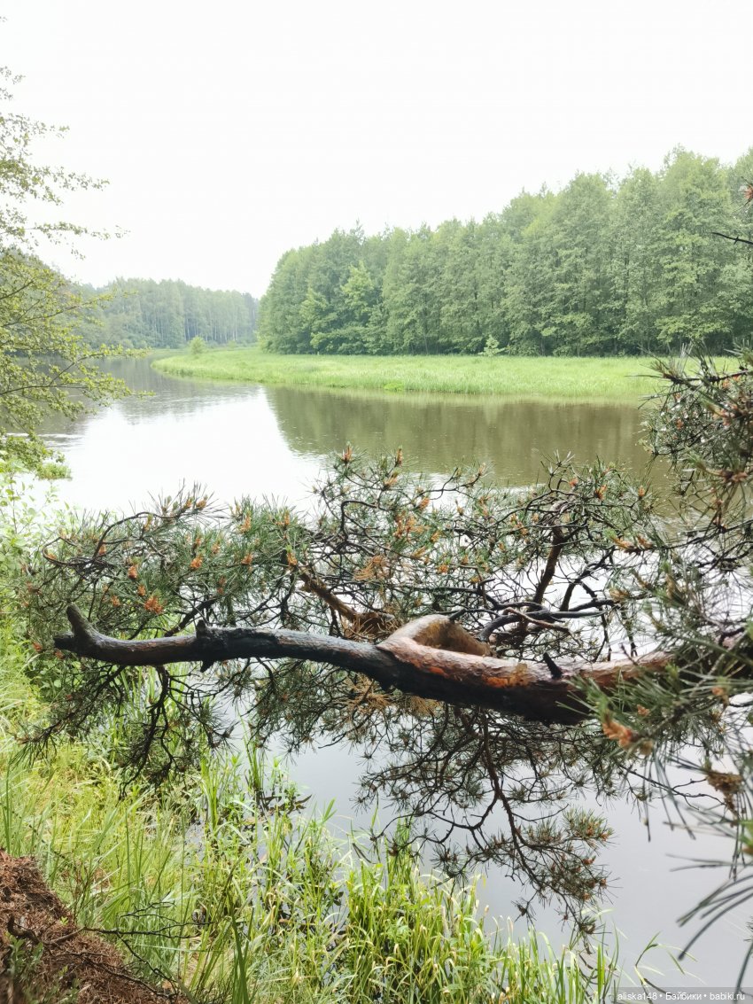Путешествие продолжается — Куклы Baboliy (Баболи
