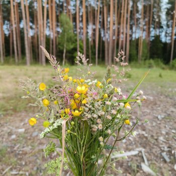 Путешествие продолжается