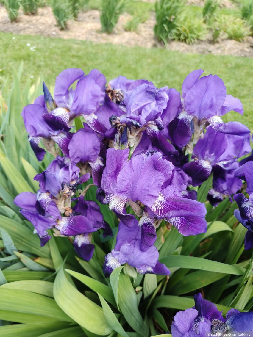 Время гулять — Куклы Mattel (Маттел) разное: Enchantimals