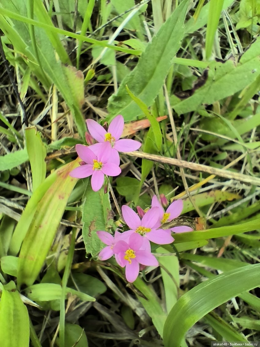 Командировочная жизнь. Часть 1 (фото 5)